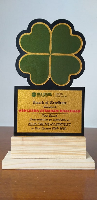Award of Excellence